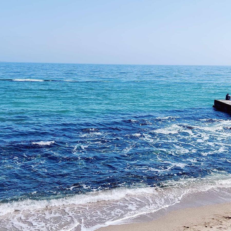 Будинок В Одесі Біля Моря 16 Станція Фонтану Odessa Eksteriør billede